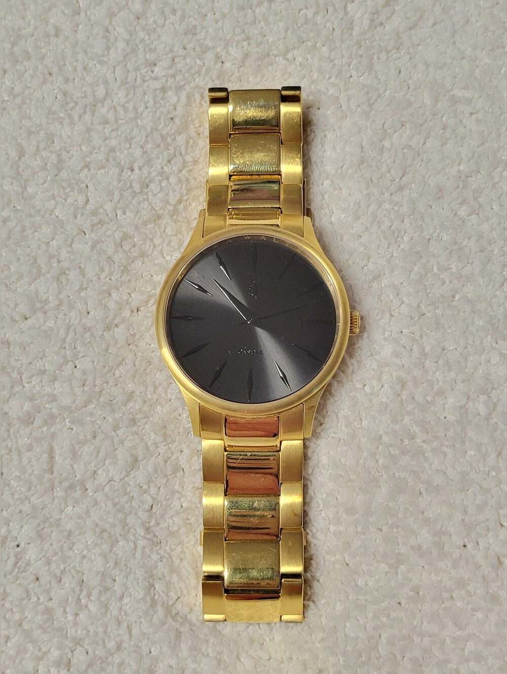 Men's Watch Castle x Alex Walter 316L Stainless Steel Sapphire Crystal 5 ATM